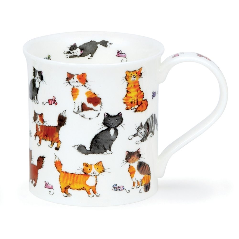 DUNOON BUTE CUTE KITTENS MUG