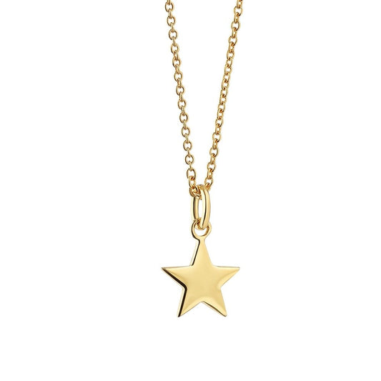 NEWBRIDGE PENDANT WITH STAR