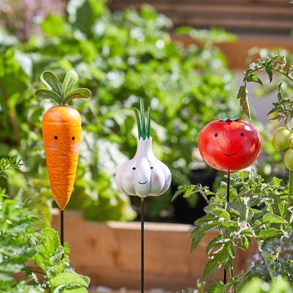 VEGGIES-CARROT, GARLIC, TOMATO LOONY STAKES