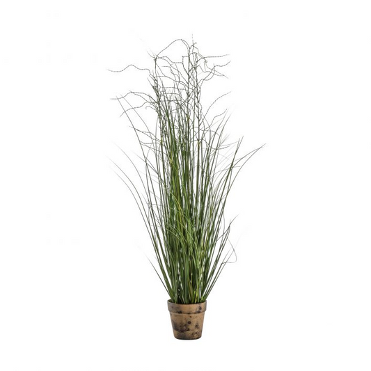 GALLERY POTTED ONION GRASS GREEN