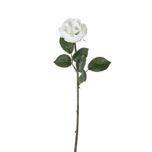 GALLERY ROSE STEM WHITE