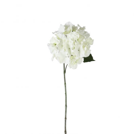 GALLERY HYDRANGEA STEM WHITE