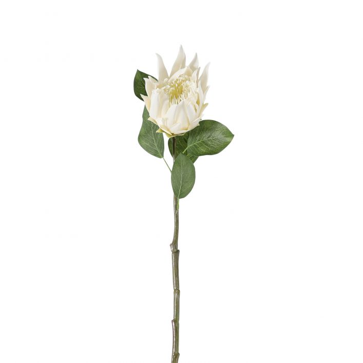 GALLERY PROTEA STEM WHITE