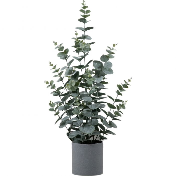 GALLERY POTTED EUCALYPTUS BUSH GREEN