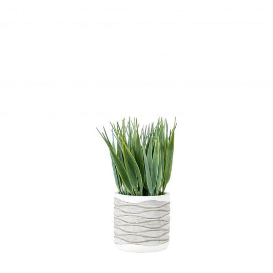 GALLERY GRASS IN WAVY POT SMALL GREEN