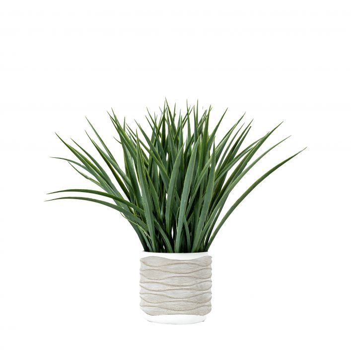 GALLERY GRASS IN WAVY POT LARGE GREEN