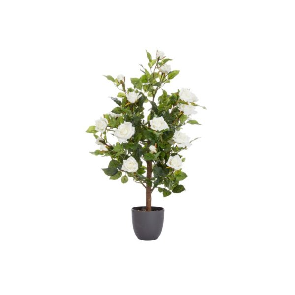 SMART GARDEN 80CM REGENT'S ROSES-WHITE