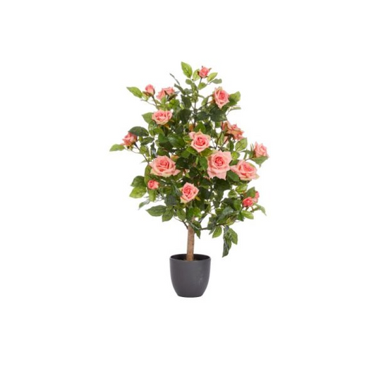 SMART GARDEN 80CM REGENT'S ROSES-PERFECT PINK