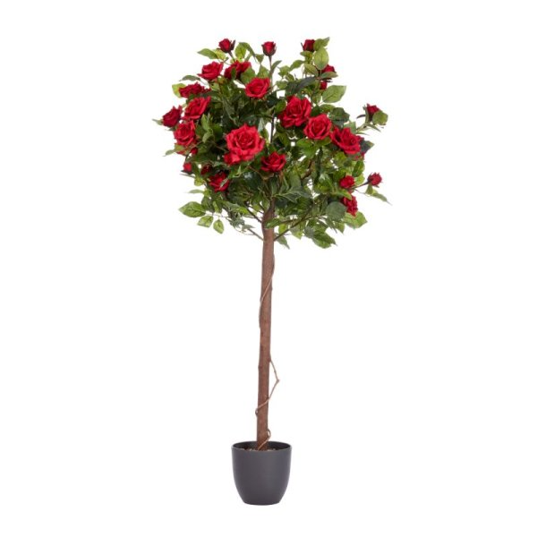 SMART GARDEN 120CM REGENT'S ROSES-RUBY RED