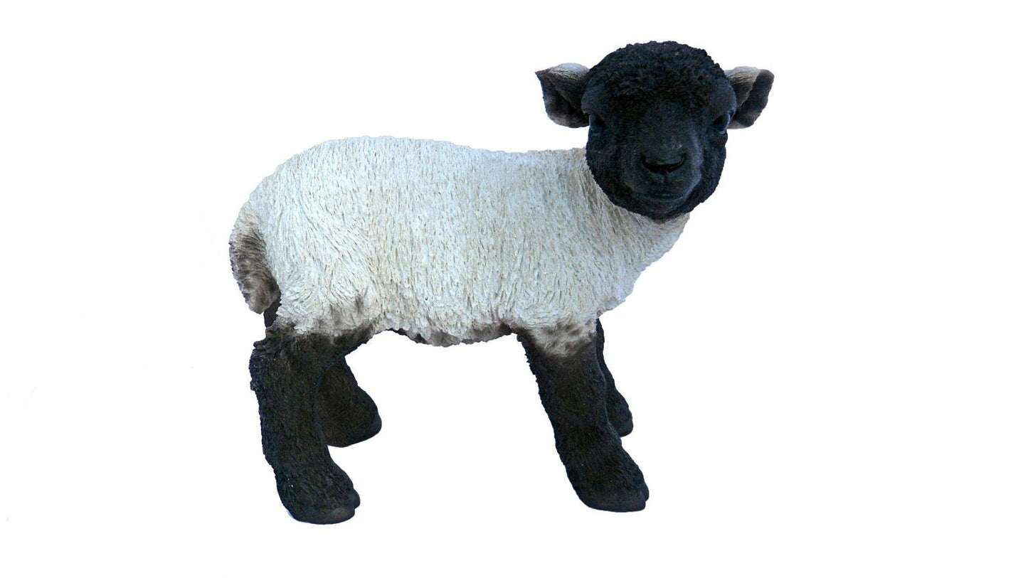 VIVID ARTS REAL LIFE - STANDING BLACK & WHITE LAMB, LARGE