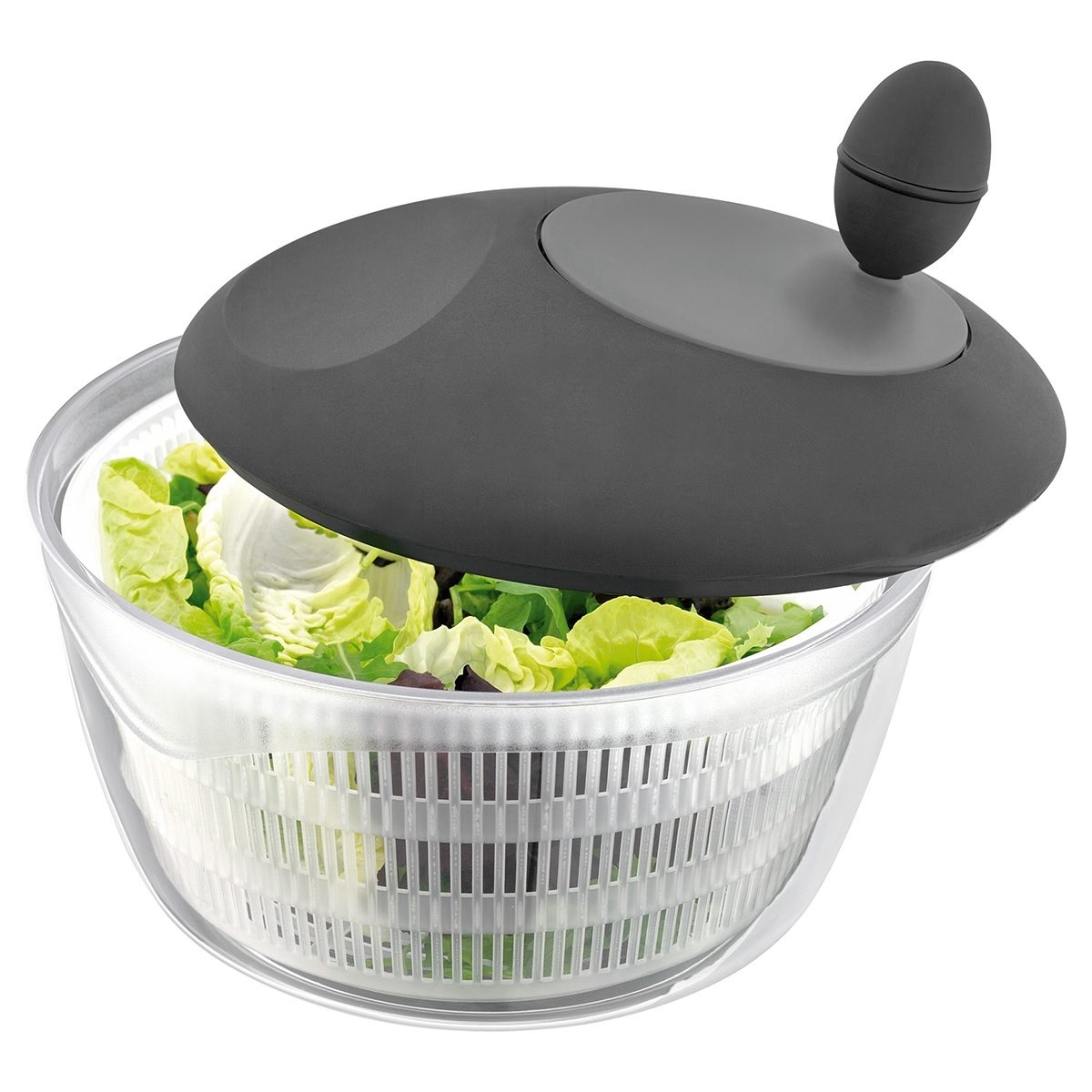 JUDGE SALAD SPINNER